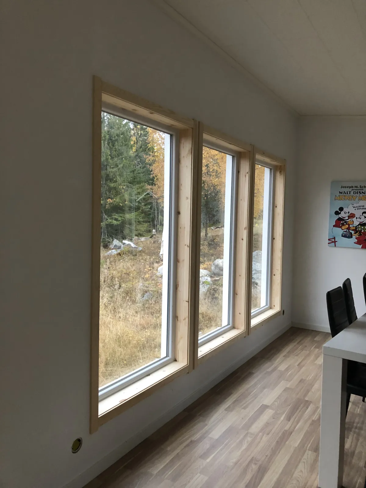 Fönster & dörrar - Bild 1