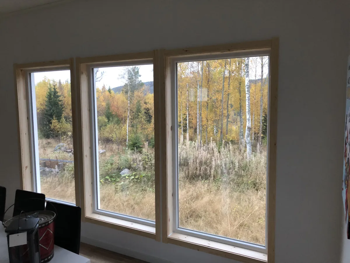 Fönster & dörrar - Bild 2